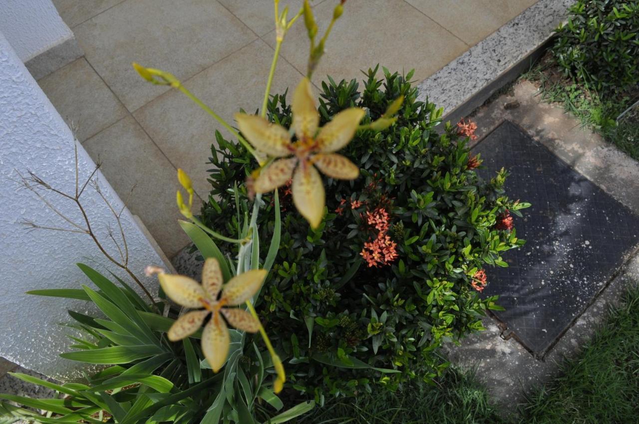 Apartamento Golden Dolphin Supreme - Achei Ferias Apartment กัลดัสโนวัส ภายนอก รูปภาพ